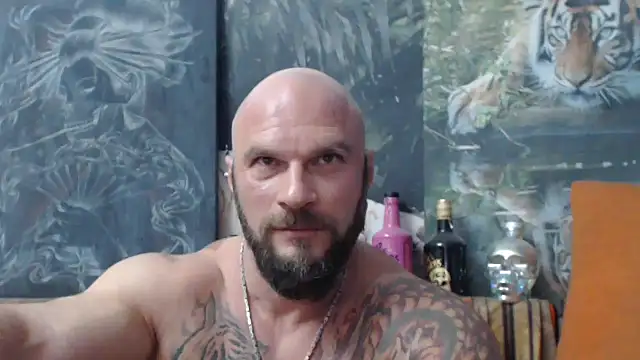 viking 30 online show from 14, 9, 2025