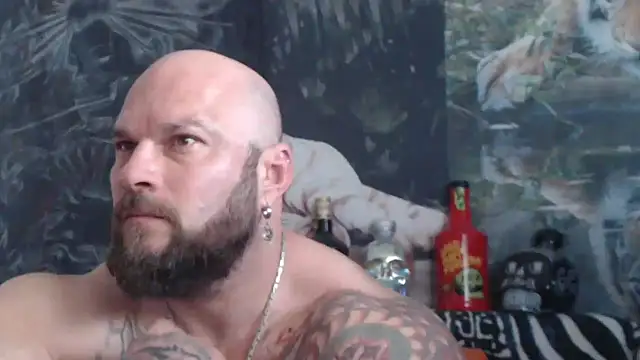 viking 30 online show from 21, 5, 2026