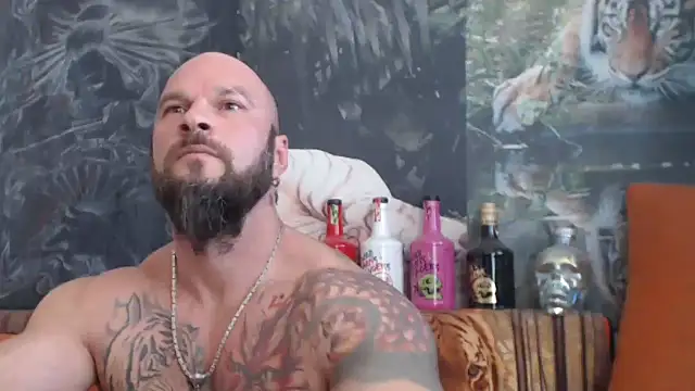 viking 30 online show from 23, 9, 2025