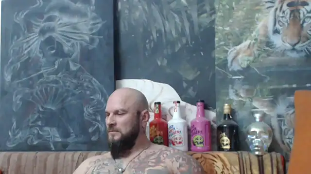 viking 30 online show from 9, 11, 2025