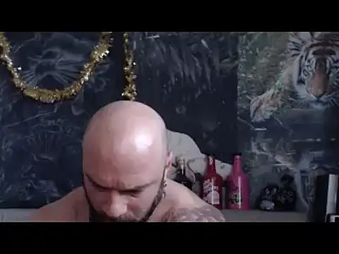 viking 30 online show from 30, 3, 2026