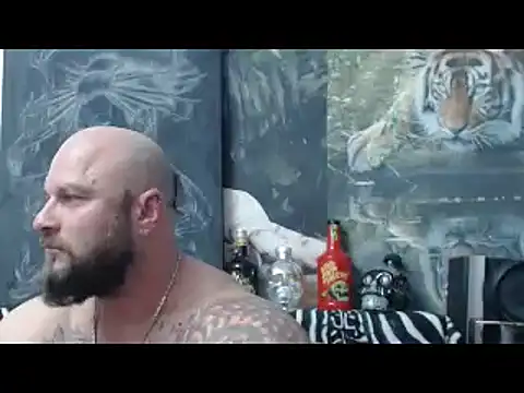 viking 30 online show from 19, 4, 2026