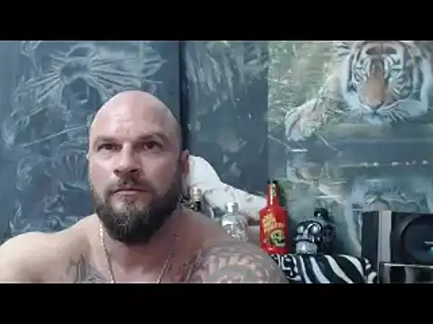 viking 30 online show from 16, 4, 2026