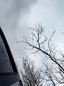 Model9798 online show from 22, 12, 2025