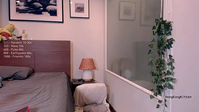hongkongkitten online show from 27, 7, 2026