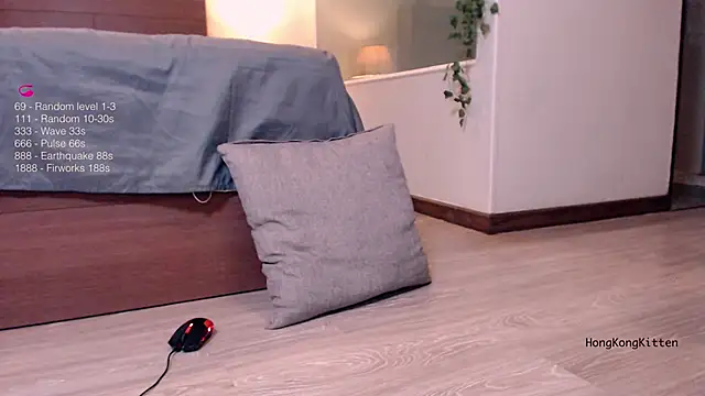 hongkongkitten online show from 11, 10, 2025