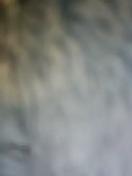 PhoenixDesirexh online show from 4, 4, 2026