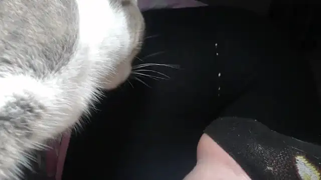 prettyangelsquirt online show from 14, 4, 2026