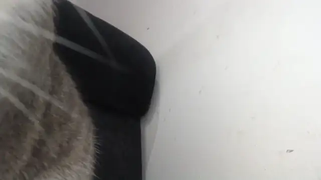 prettyangelsquirt online show from 8, 4, 2026