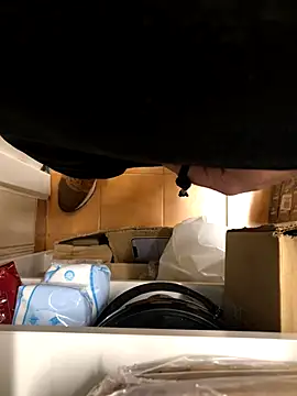 Mindnorthcam2 online show from 17, 11, 2025