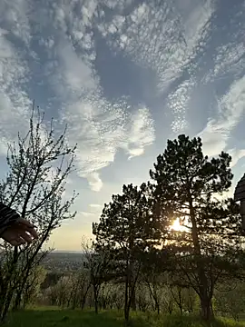 Alimela online show from 15, 4, 2026