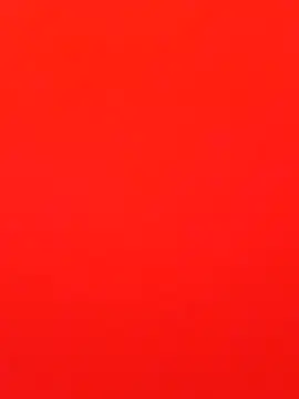 Rabit Snake online show from 16, 2, 2025