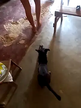 sexicaribe2 online show from 16, 10, 2025