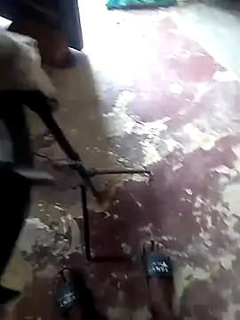 sexicaribe2 online show from 24, 11, 2025