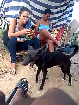 sexicaribe2 online show from 28, 11, 2025