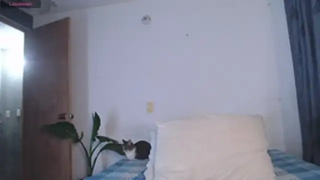 valen thompson online show from 22, 4, 2026