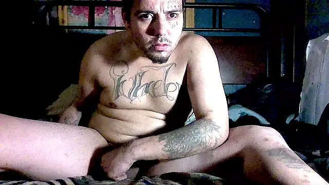 cesloer online show from 9, 1, 2025