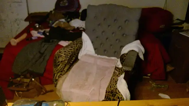 Transjoni online show from 8, 1, 2026