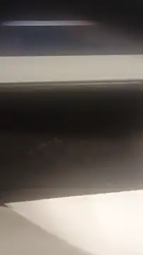 69RIPsta69 online show from 7, 3, 2026