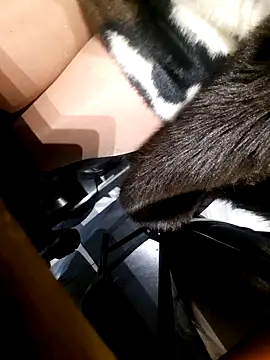 Dirtyfeelin online show from 18, 11, 2025