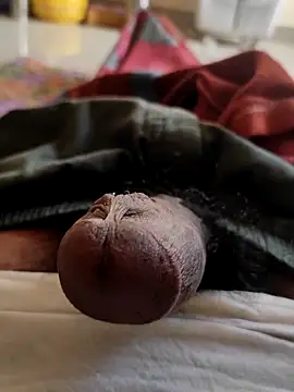 Hausa 44 online show from 5, 11, 2025