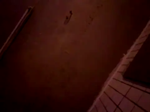 Benutzt-er online show from 26, 3, 2026