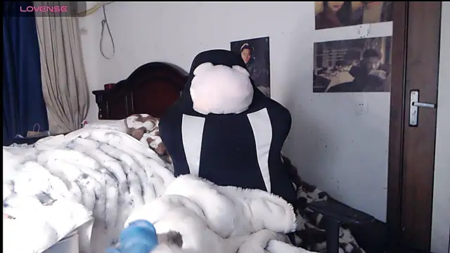 candy cola online show from 13, 11, 2025