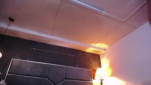 teddyfit19cm online show from 10, 3, 2026