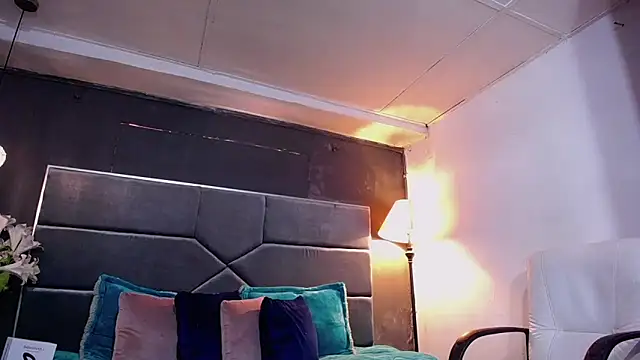 teddyfit19cm online show from 8, 11, 2025