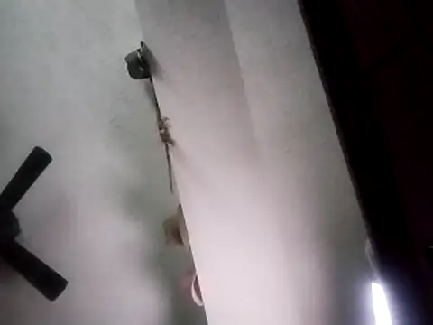 PrinceNoAlbert online show from 13, 11, 2025