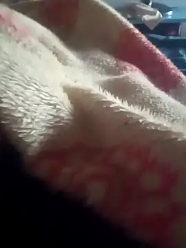 casaltrasante online show from 13, 3, 2026