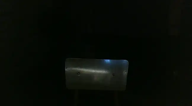 Snapshot of venenus chatting on 29, 1, 2025 venenus online show from 29, 1, 2025