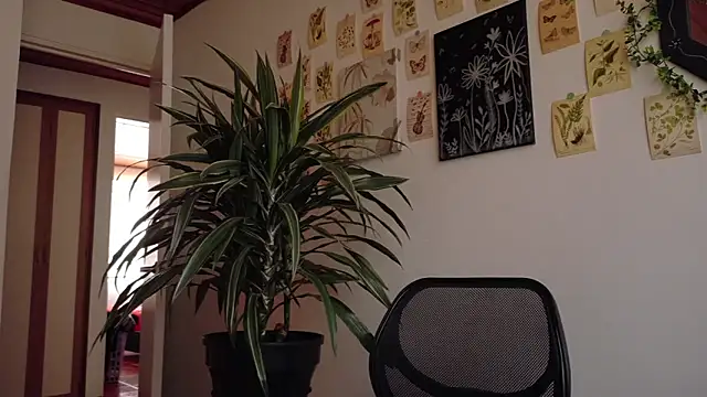 kinky rider online show from 27, 3, 2026