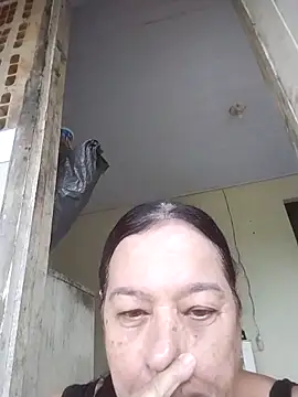 catdool online show from 2, 4, 2026