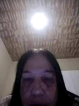 catdool online show from 15, 4, 2026