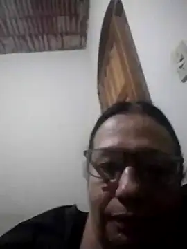 catdool online show from 2, 3, 2026