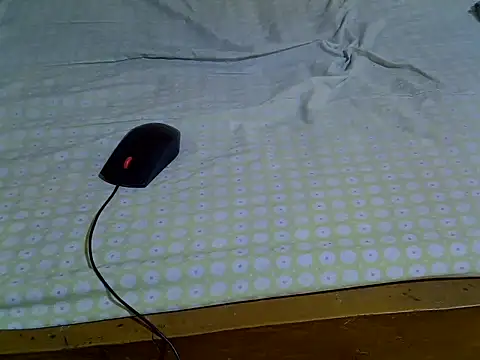 EbonyMina  online show from 10, 4, 2026