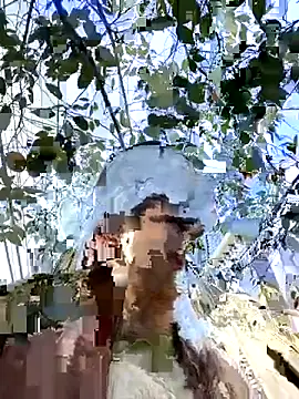 everybody loves pussy online show from 19, 10, 2025