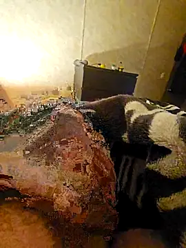 Advocate 420 online show from 3, 12, 2025