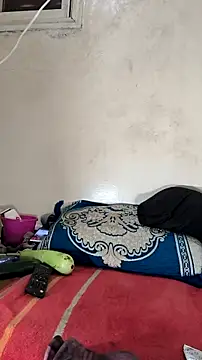 tslovetoys5 online show from 9, 10, 2025