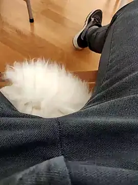 Snapshot of papiculo86 chatting on 2, 2, 2025 papiculo86 online show from 2, 2, 2025