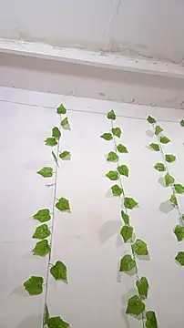 shayna all online show from 25, 11, 2025