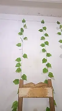 Snapshot of shayna_all chatting on 5, 1, 2026 shayna all online show from 5, 1, 2026