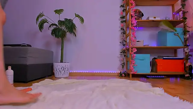 Teylor Fly online show from 12, 10, 2025