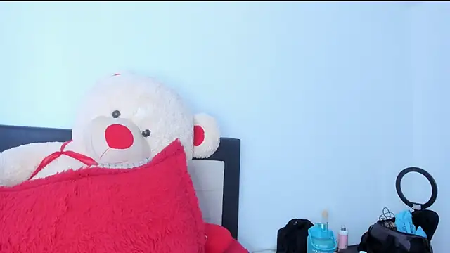 Snapshot of na-biky chatting on 29, 12, 2024 na-biky online show from 29, 12, 2024