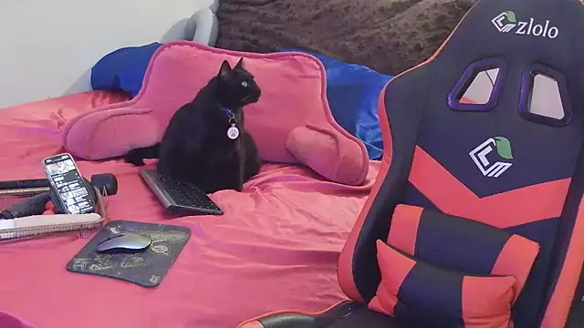 sugahfreeee online show from 14, 12, 2025