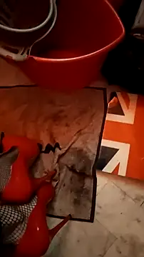 Misspadrona88 online show from 30, 11, 2025