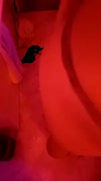 Misspadrona88 online show from 23, 1, 2025