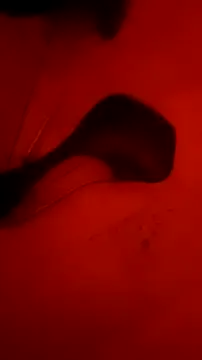 Misspadrona88 online show from 5, 10, 2025