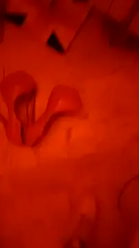 Misspadrona88 online show from 22, 2, 2026